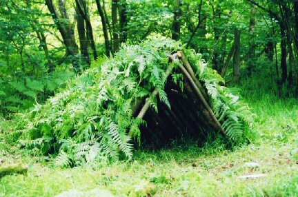 Build Shelter