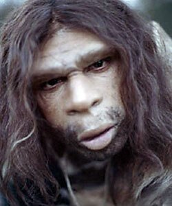 Neanderthal1.jpg